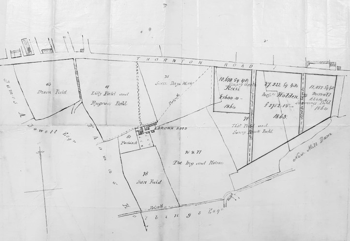 BRA 1864 PLA